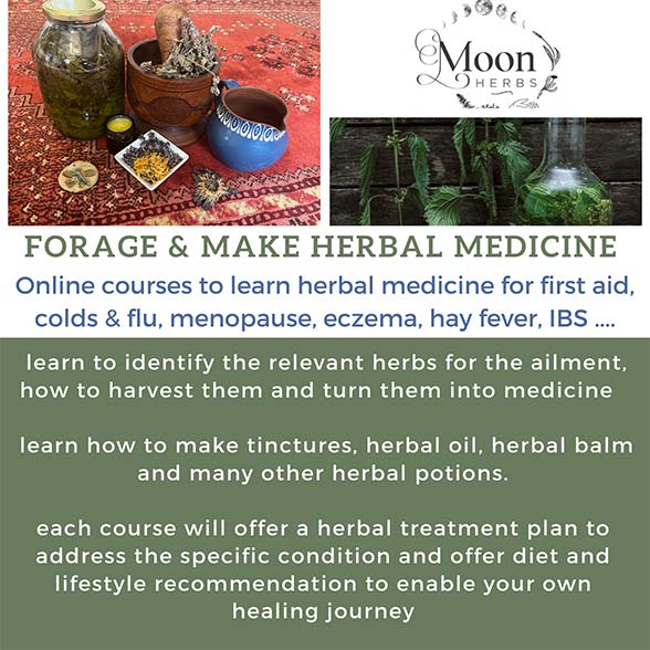 herbal medicine online courses